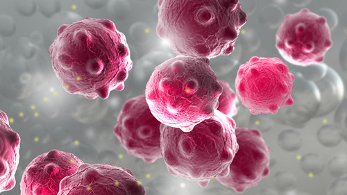 4fa370d2-84ec-4684-87bb-45cd4a4412e1.jpg 4fa370d2-84ec-4684-87bb-45cd4a4412e1.jpg